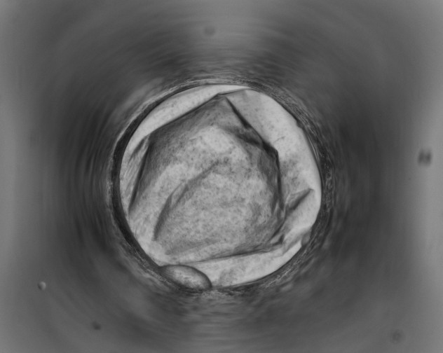 X0000099980290200806201432