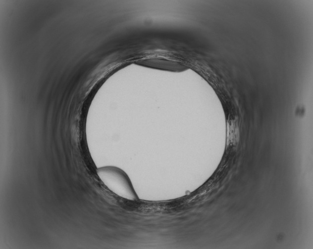 X0000099980291200806201432