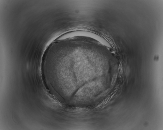 X0000099980292200806201432