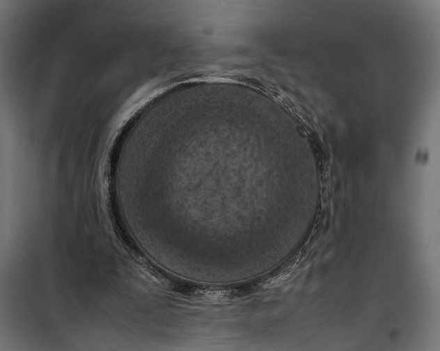 X0000099980295200806201432