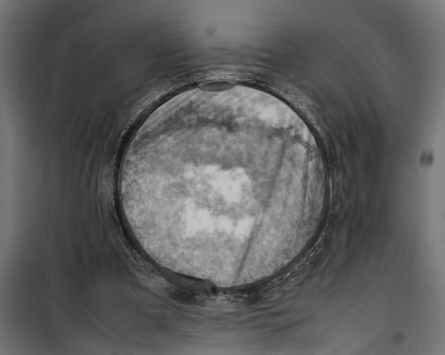 X0000099980297200806201432