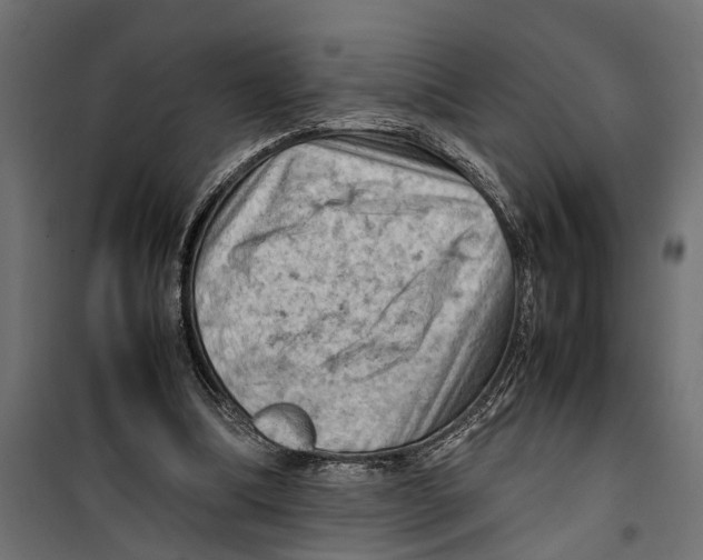 X0000099980298200806201432