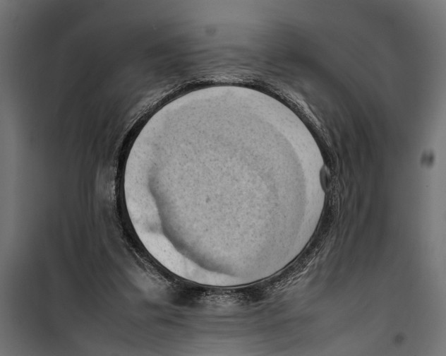 X0000099980299200806201432