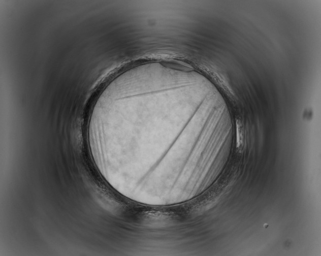 X0000099980300200806201432