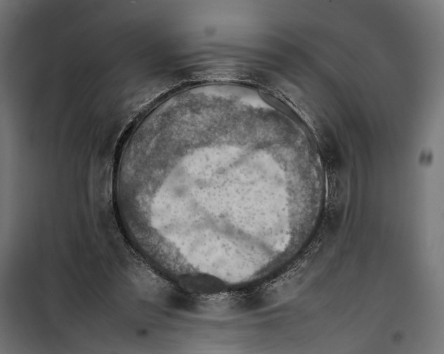 X0000099980301200806201432