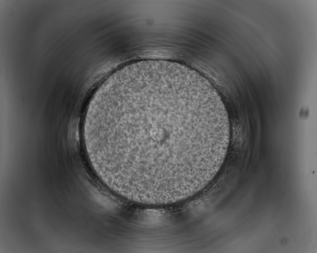 X0000099980302200806201432