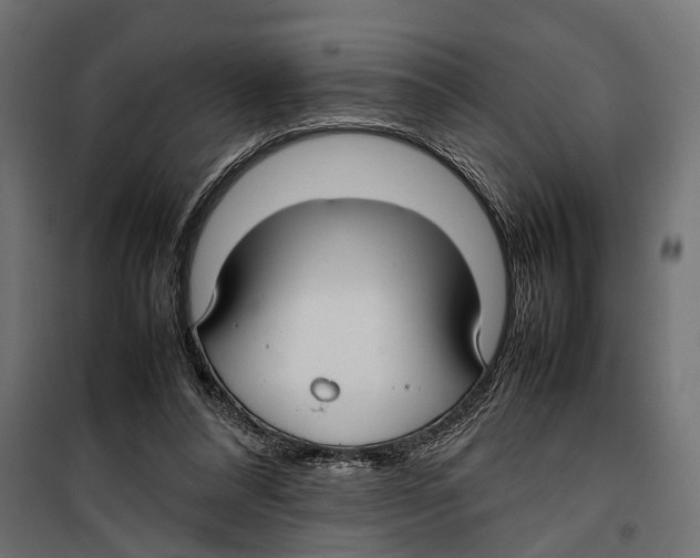 X0000099980304200806201432