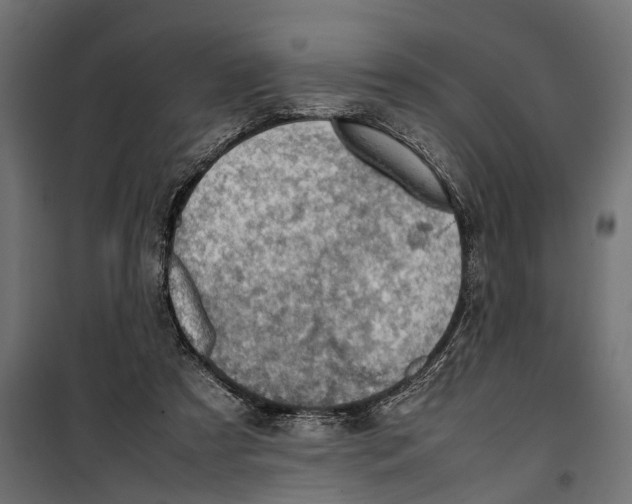 X0000099980305200806201432