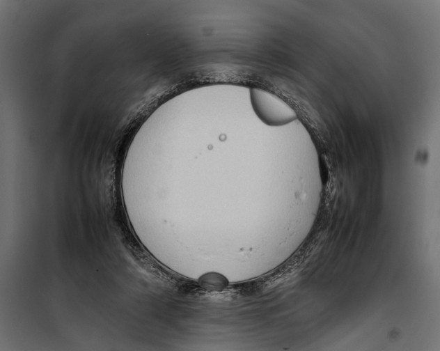 X0000099980306200806201432