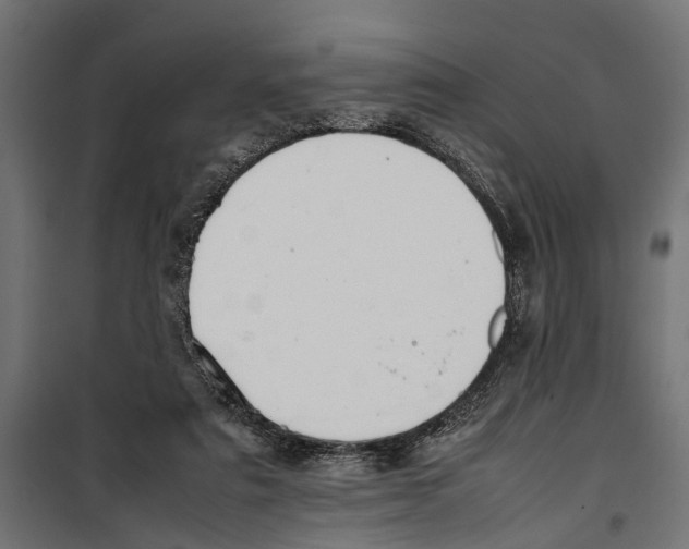 X0000099980307200806201432