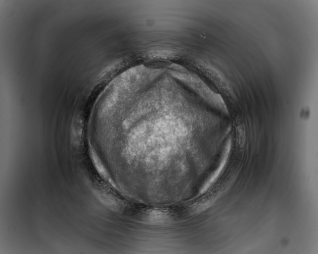 X0000099980308200806201432