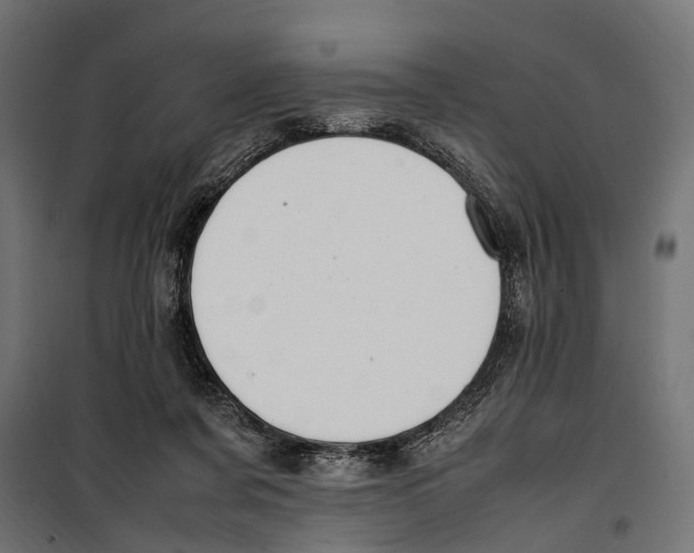 X0000099980311200806201432