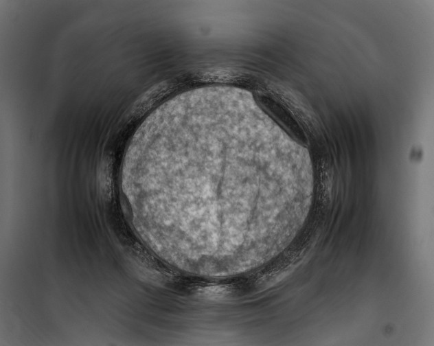 X0000099980312200806201432