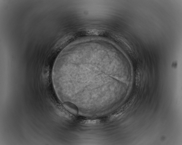 X0000099980314200806201432