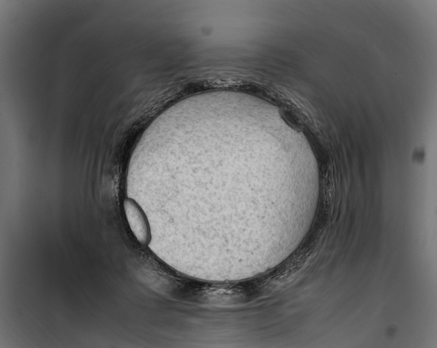 X0000099980315200806201432