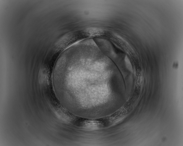 X0000099980316200806201432