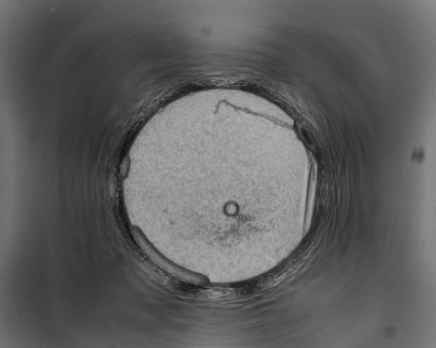 X0000099980317200806201432