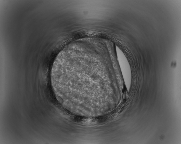 X0000099980319200806201432