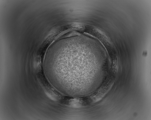 X0000099980320200806201432