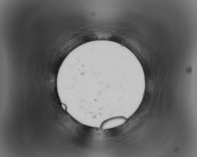 X0000099980321200806201432