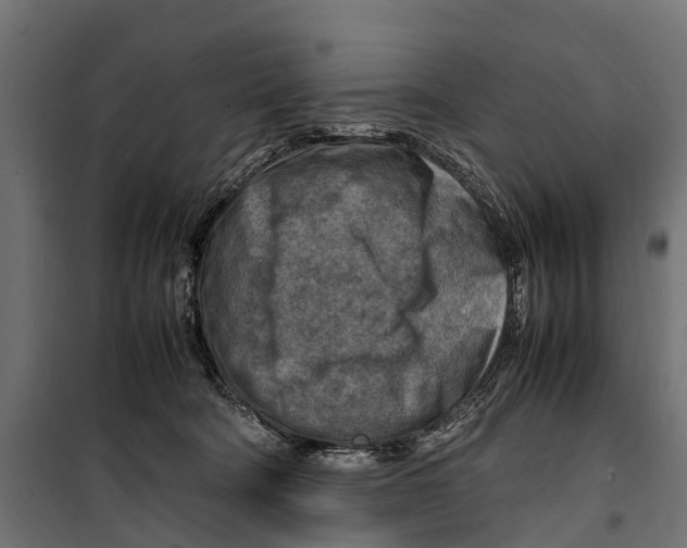 X0000099980322200806201432