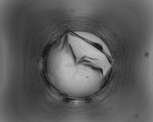 X0000099980323200806201432