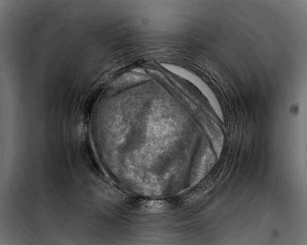 X0000099980324200806201431