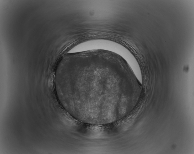 X0000099980325200806201431