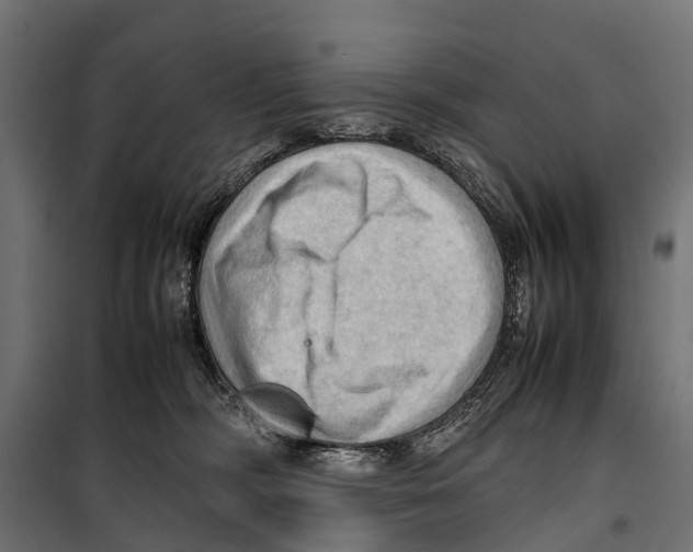 X0000099980326200806201431