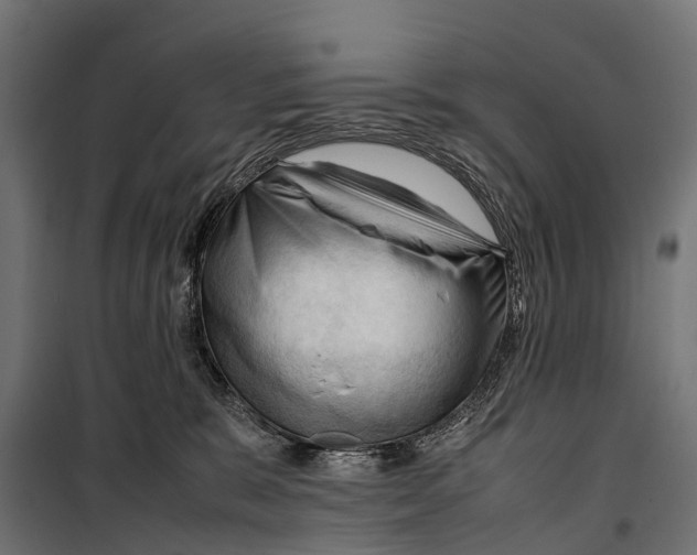 X0000099980327200806201431