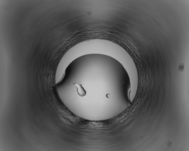 X0000099980328200806201431