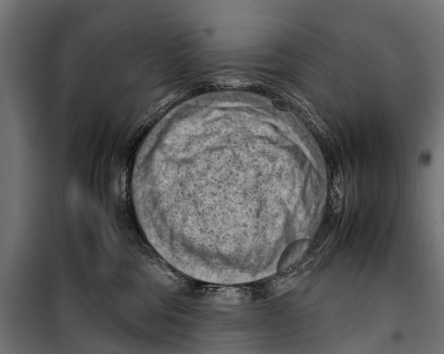 X0000099980330200806201431