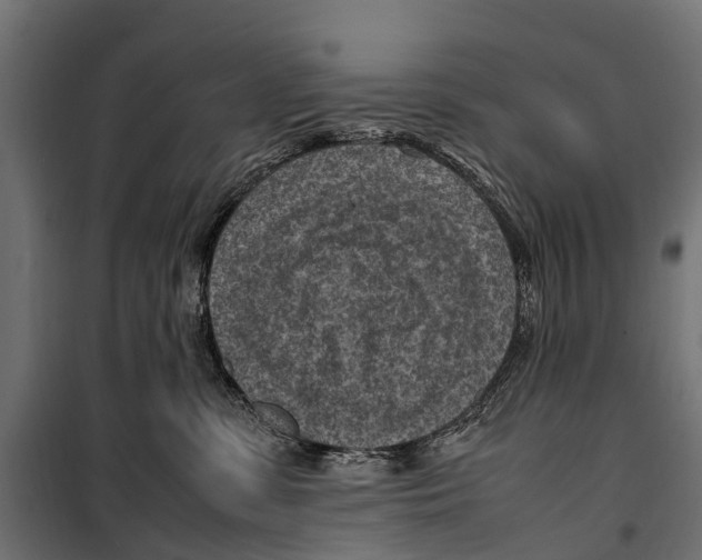 X0000099980331200806201431