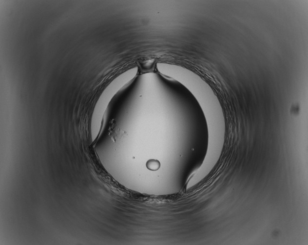 X0000099980332200806201431