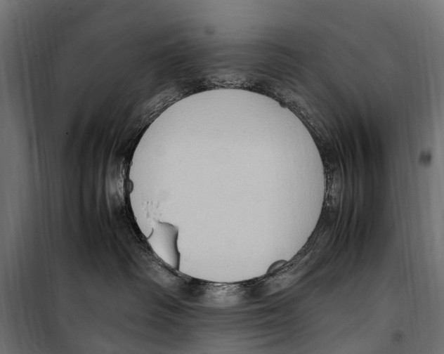 X0000099980334200806201431