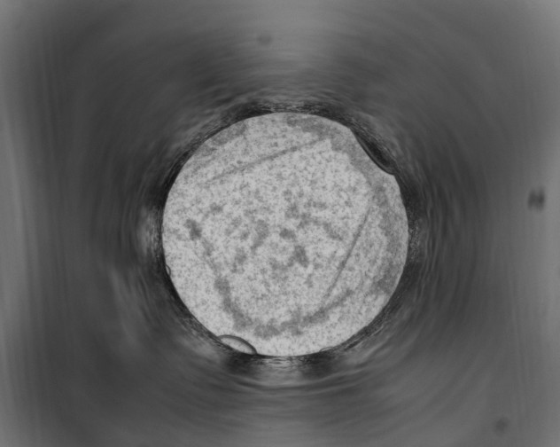 X0000099980335200806201431