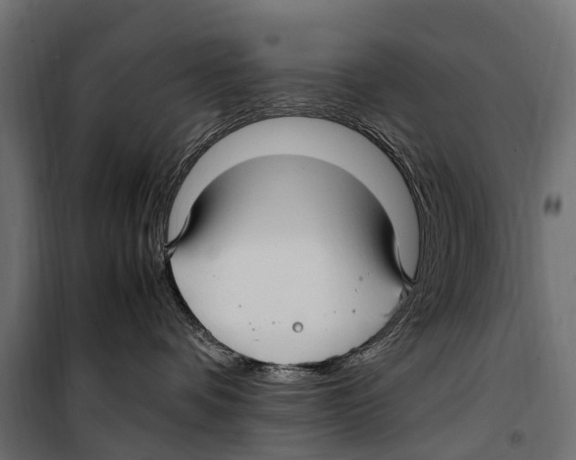 X0000099980336200806201431