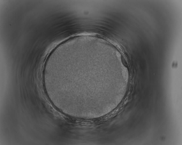 X0000099980337200806201431