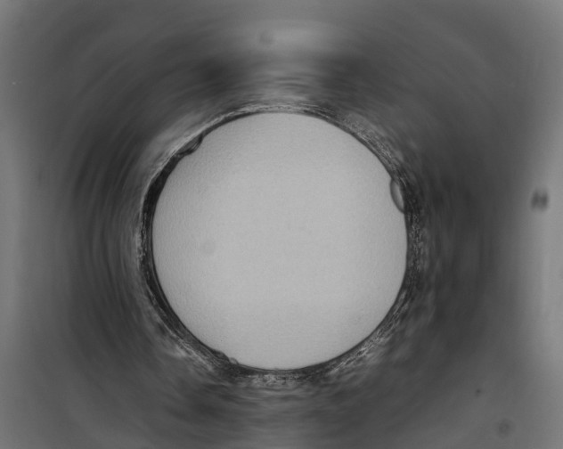 X0000099980338200806201431