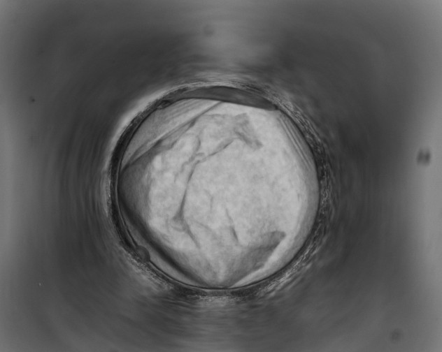 X0000099980342200806201431