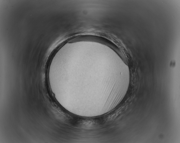 X0000099980344200806201431