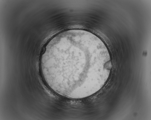 X0000099980345200806201431