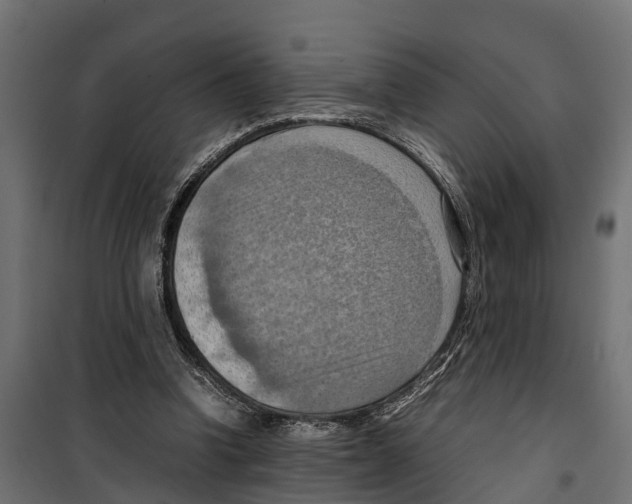 X0000099980346200806201431