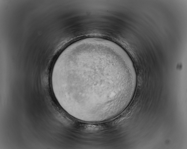 X0000099980347200806201431