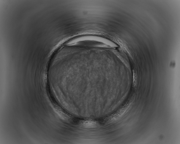 X0000099980348200806201431