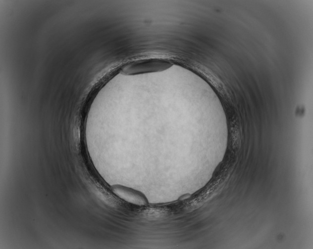 X0000099980350200806201431