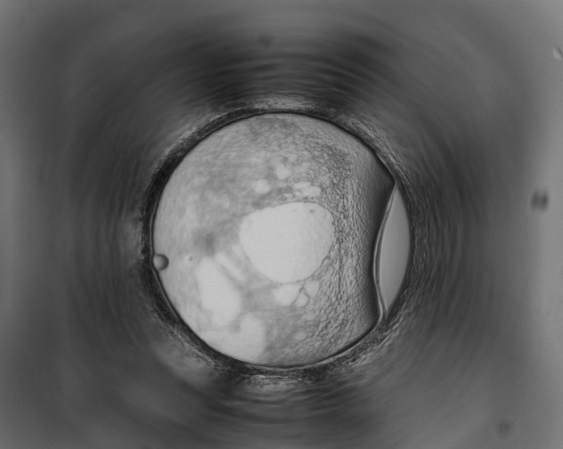 X0000099980351200806201431