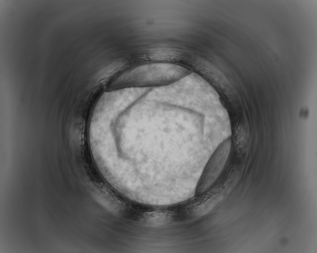 X0000099980356200806201431