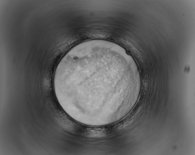 X0000099980359200806201431