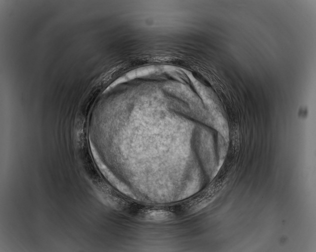 X0000099980360200806201431